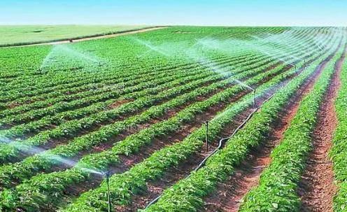 操屄骚妇农田高 效节水灌溉